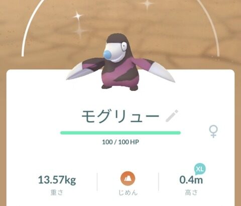 【ポケモンGO】マックスレイドの「未強化ウールー勢」貴重な4人枠の一つを消費してる事を意識して欲しい