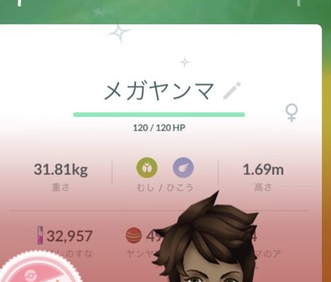 【ポケモンGO】「色違いメガヤンマFFF」こいつの使い所教えてくれ！