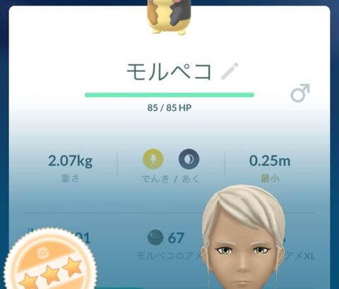 【ポケモンGO】ロケット団サカキ対策！「モルペコ」で延々に技2出して完封