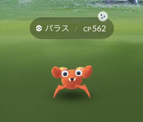 【ポケモンGO】「一般ポケモン」のレイド色違い率ってどれくらい？