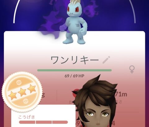 【ポケモンGO】レイド運用なら「攻撃F」だけで妥協して良い、何なら攻撃Fじゃなくてもいい