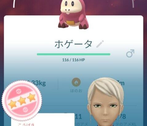 【ポケモンGO】ホゲータコミュデイ反省会！