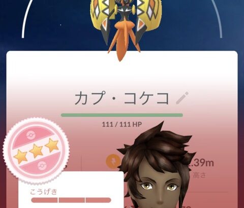 【ポケモンGO】カプコケコ100の使い道