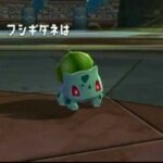 ポケモンコロシアム最強トレーナーの「ムゲンダイ」の手持ちｗｗｗ