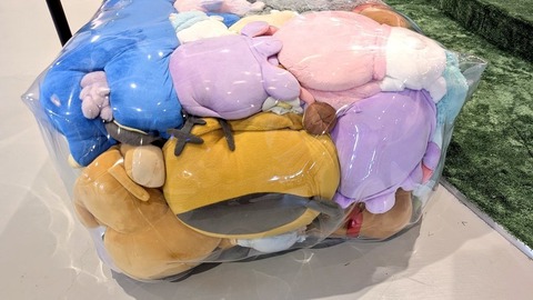 大阪万博の「ポケモンぎゅうぎゅうぬいぐるみベンチ」撤去ｗ