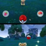 【ポケモンGO】複垢プレイヤーの「見て見て構って」本来1.2歳で卒業するはずの見て見て期