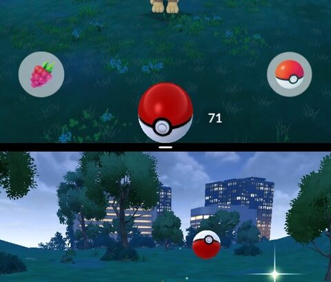 【ポケモンGO】複垢プレイヤーの「見て見て構って」本来1.2歳で卒業するはずの見て見て期