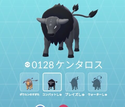 【ポケモンGO】パルデアケンタロス、レイド招待に5万人待ち