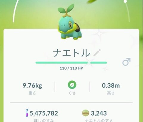 【ポケモンGO】「誤強化、誤進化、誤リトレ」防止用ロック機能が欲しい！