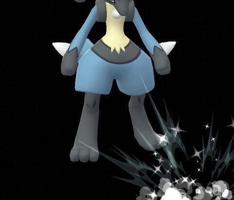 【ポケモンGO】「最高の相棒」にはしたくない