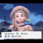 【ポケモンSV】虫タイプがフェアリーに抜群になったらぶっ壊れタイプになる？