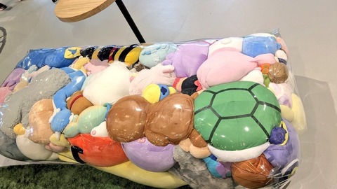 ポケモンファン激怒「可哀想すぎる」「悪趣味」大阪万博の“ぬいぐるみベンチ”展示