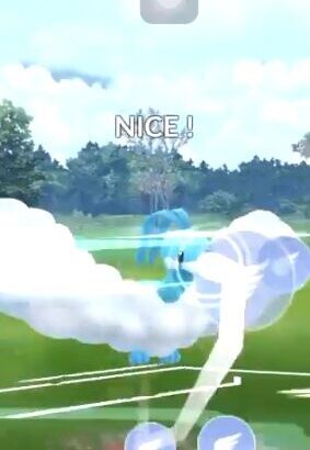 【ポケモンGO】技2を出すときのミニゲームが苦手なんだけど