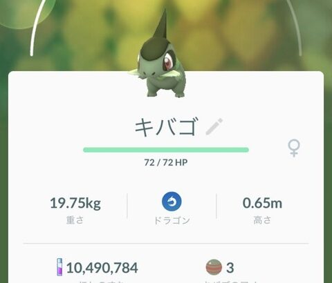 【ポケモンGO】まだジムで神経すり減らしてる人達