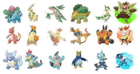 初めてレベル100にしたポケモン