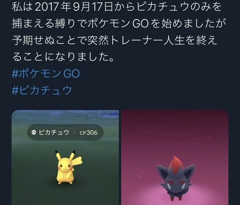 【ポケモンGO】「ピカチュウのみ捕まえる縛り」「金ジムコレクター」謎の遊び方