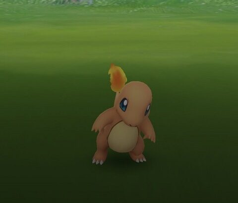 【ポケモンGO】イベントが無い時のポケモンGOの楽しみ方