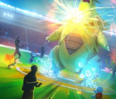 【ポケモンGO】ナイアンが基準にしてる「シンガポールおばちゃん」とかいう謎のおばちゃん