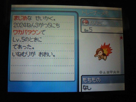 ポケモンHGSSの連れ歩きのグラって全部新規で描いたの？
