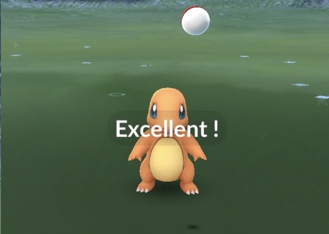 【ポケモンGO】「エクセレント」出しやすいポケモン教えて！！
