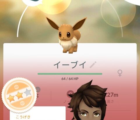 【ポケモンGO】連れ合いがポケGO開始した、最初にアドバイスするなら何が良い？