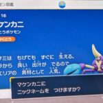 マケンカニ、パエリアにされる