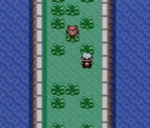 「ポケモンで最も苦戦した敵」