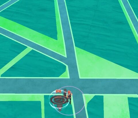 【ポケモンGO】真の田舎、田舎のポケ活事情