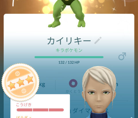 【ポケモンGO】キョダイマックスカイリキー、反省会
