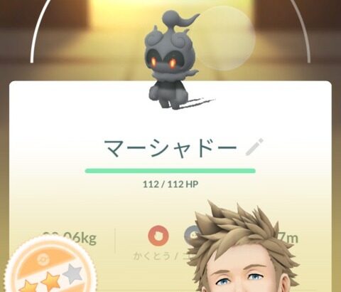【ポケモンGO】一点モノの幻のポケモンでAAA引く奴