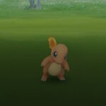 【ポケモンGO】「サークル固定」知らない人が増えてる模様