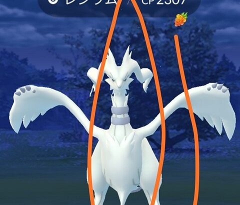 【ポケモンGO】ボール投げた後右手人差し指を高く挙げる