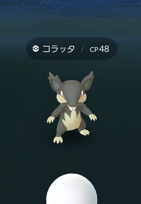 【ポケモンGO】ラッタとかオオタチみたいなポケモンの100個体どうしてる？