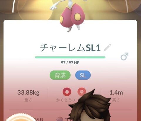 【ポケモンGO】XLアメを投入してまで育てた奴が調整で一気に弱くなる悲しみ