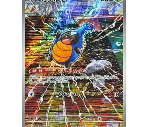 ポケカ、あの界隈に媚びる