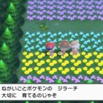 ポケモンBDSPの孵化厳選が地獄なんだけど…