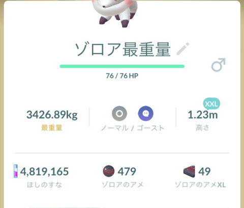 【ポケモンGO】サイズバグった奴がおひろめ参戦出来る仕様