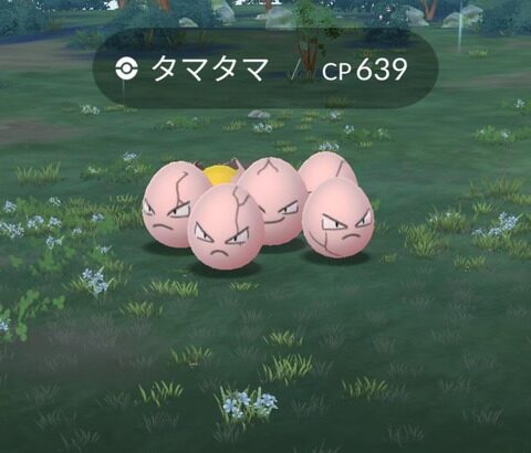 ポケモンでタマタマって名前を付けた奴