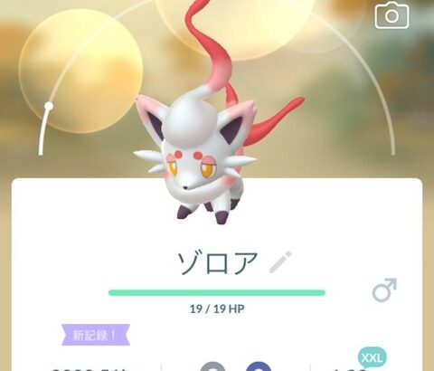 【ポケモンGO】ゾロア、相変わらず体重バグってる
