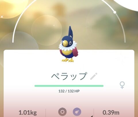 【ポケモンGO】ペラップ祭り「サマーコンサート」