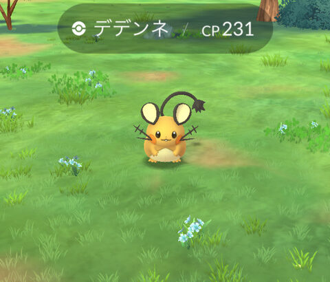 【ポケモンGO】ノノクラゲが出るスポットって？