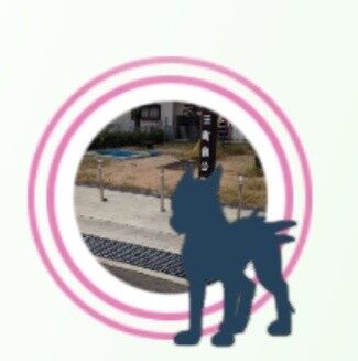 【ポケモンGO】普段野生で見ないポケモンが野生で登場