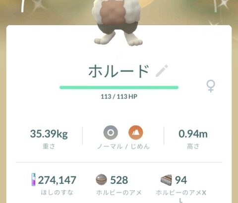 【ポケモンGO】今でもポケGO楽しくて溜まらんのだが異端か？
