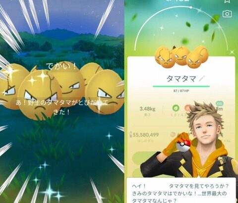 【ポケモンGO】ポケGOの懐かしいノリ