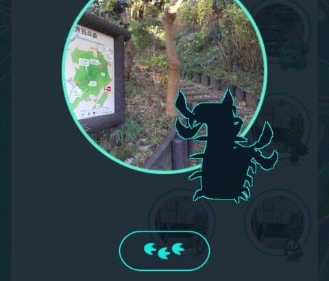 【ポケモンGO】盆休みも休めないポケGOプレイヤー