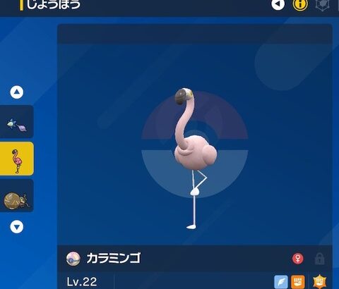 ポケモンSVで序盤鳥ポケモン「カラミンゴ」大当たり旅パポケモンだったって気付いた奴どれくらいいたの