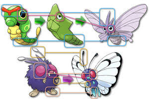 ポケモンのバタフリーとモルフォンの進化先の配置間違えたとかいう奴