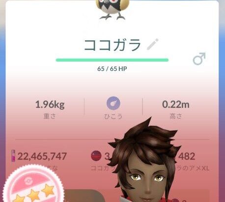 【ポケモンGO】今後目玉になり得るキョダイマックスって何かある？