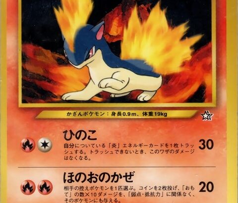 俺「一番好きなポケモンは？」甥っ子「マグマラシ」
