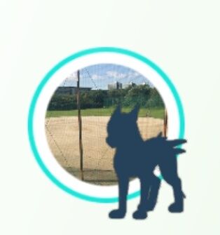 【ポケモンGO】これ野生のジガルデ？